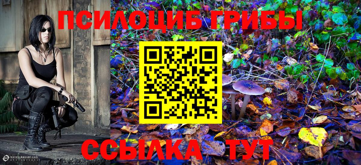 Псилоцибиновые грибы Psilocybe  что такое   Астрахань  Вход с VPN  Галлюциногенные грибы мухоморы 