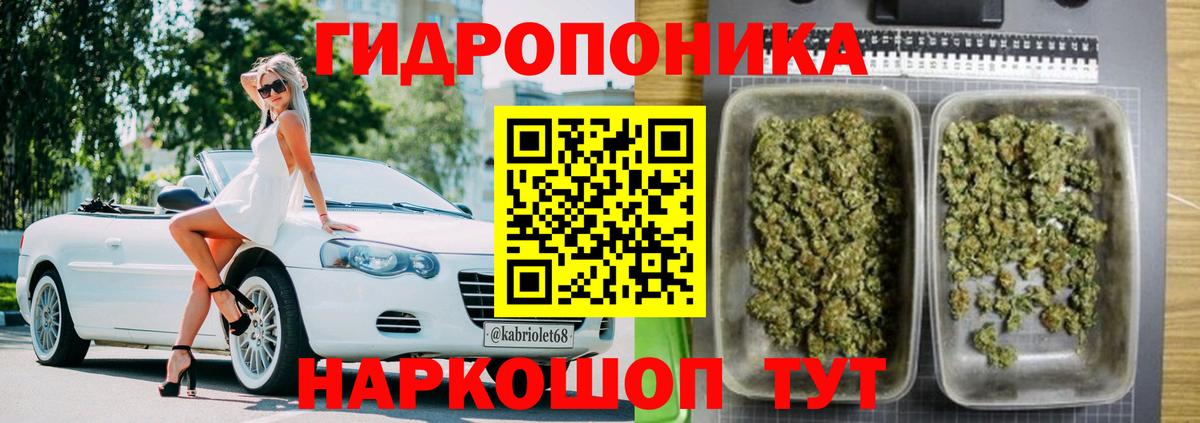 Шишки марихуана сатива  Вход с VPN  Бошки марихуана VHQ  Астрахань  Марихуана сатива 